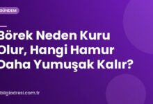 Börek Neden Kuru Olur, Hangi Hamur Daha Yumuşak Kalır?