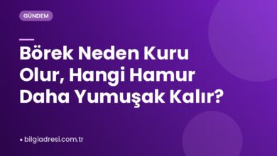 Börek Neden Kuru Olur, Hangi Hamur Daha Yumuşak Kalır?