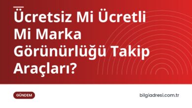 Ücretsiz Mi Ücretli Mi Marka Görünürlüğü Takip Araçları?