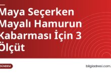 Maya Seçerken Mayalı Hamurun Kabarması İçin 3 Ölçüt