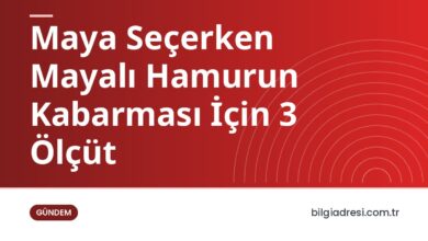 Maya Seçerken Mayalı Hamurun Kabarması İçin 3 Ölçüt