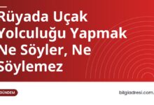 Rüyada Uçak Yolculuğu Yapmak Ne Söyler, Ne Söylemez
