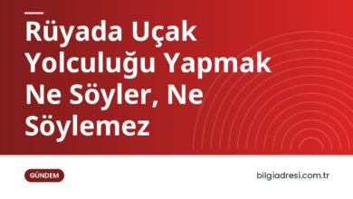 Rüyada Uçak Yolculuğu Yapmak Ne Söyler, Ne Söylemez