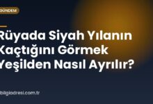 Rüyada Siyah Yılanın Kaçtığını Görmek Yeşilden Nasıl Ayrılır?