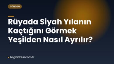 Rüyada Siyah Yılanın Kaçtığını Görmek Yeşilden Nasıl Ayrılır?