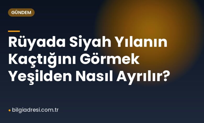 Rüyada Siyah Yılanın Kaçtığını Görmek Yeşilden Nasıl Ayrılır?